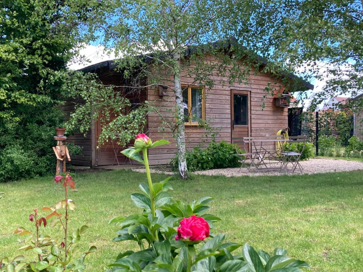 Chalet Proche Orleans Centre サン・ジャン・ル・ブラン砦 エクステリア 写真